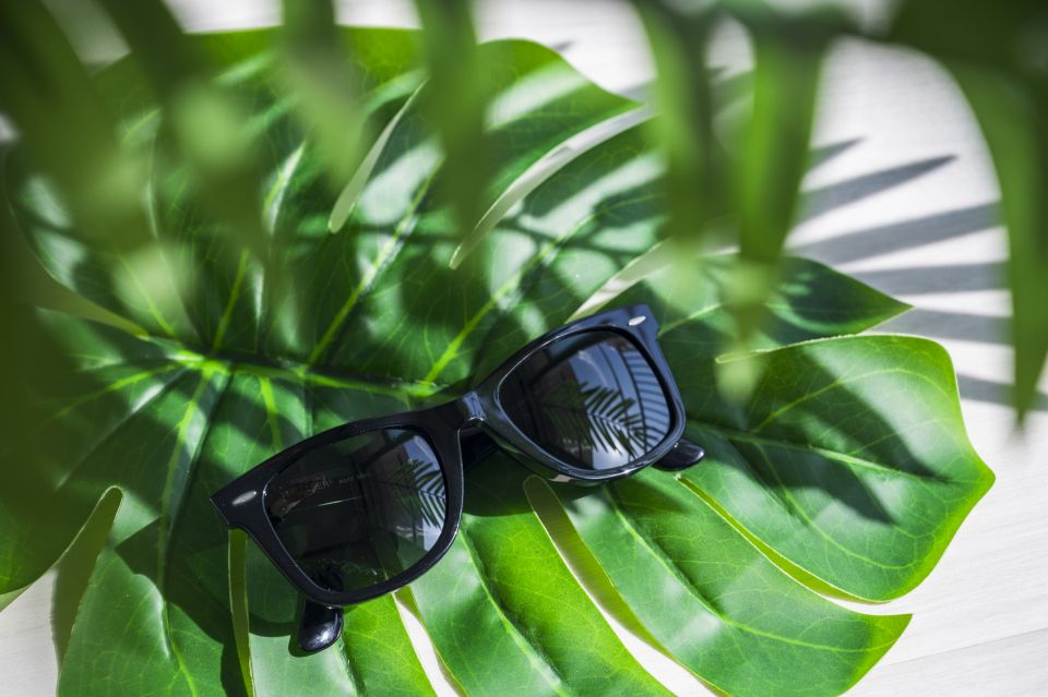 夏の日差しと健康を守る新定番日傘が変える快適ライフスタイルのすすめ